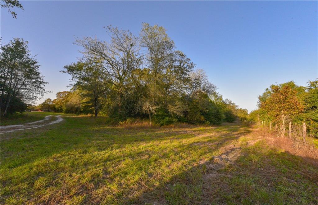 12200 Winn Road Franklin, TX 77856 - Photo 28 of 33