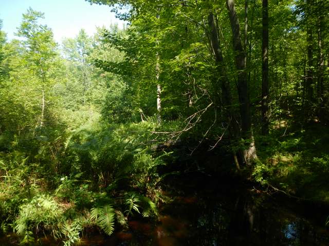 W2632 Goetzke Road Prentice, WI 54556 - Photo 13 of 18 Gallery Image 13
