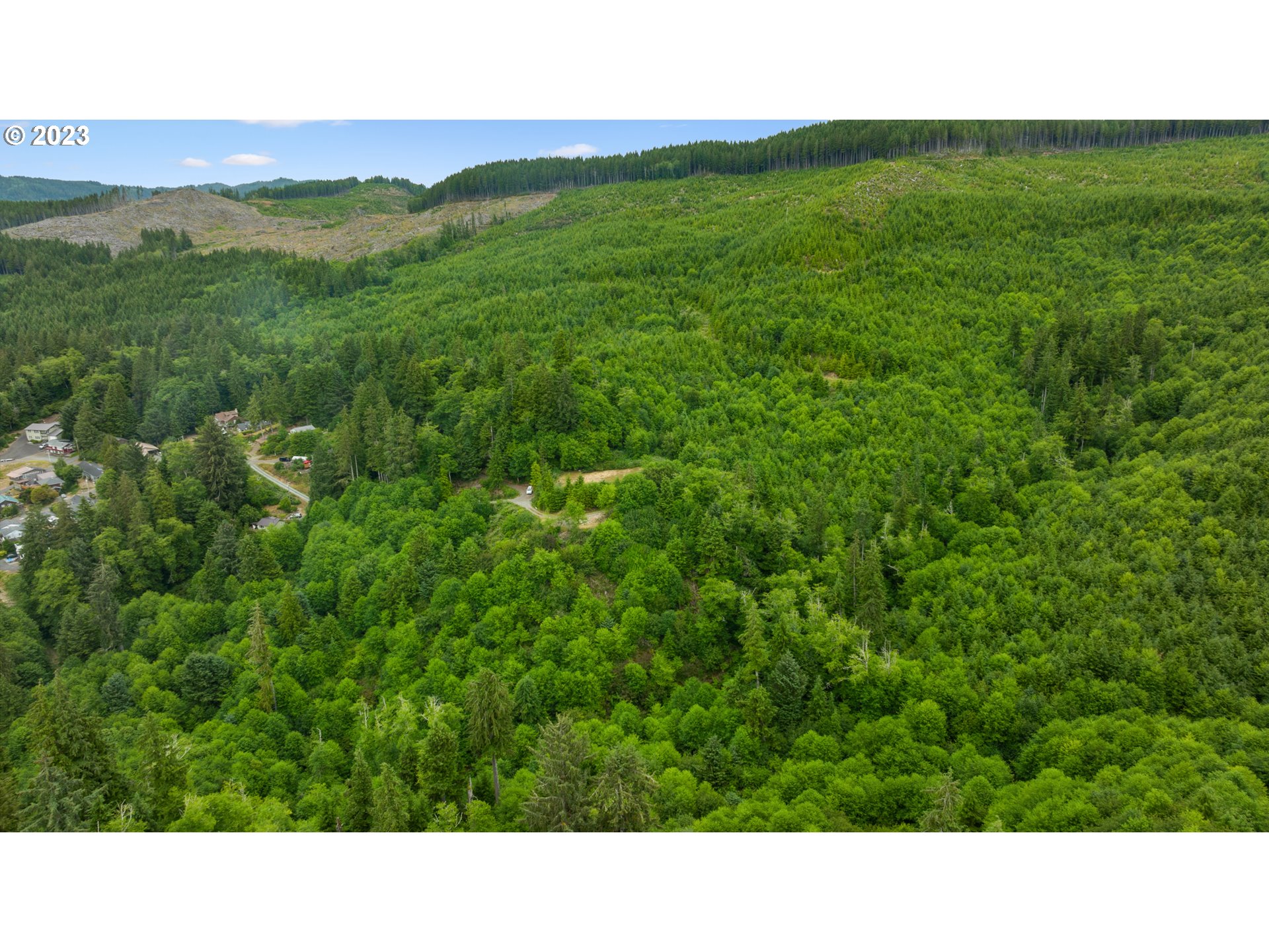 4th Street Wheeler, OR 97147 - Photo 16 of 24 a open area with lots of green space