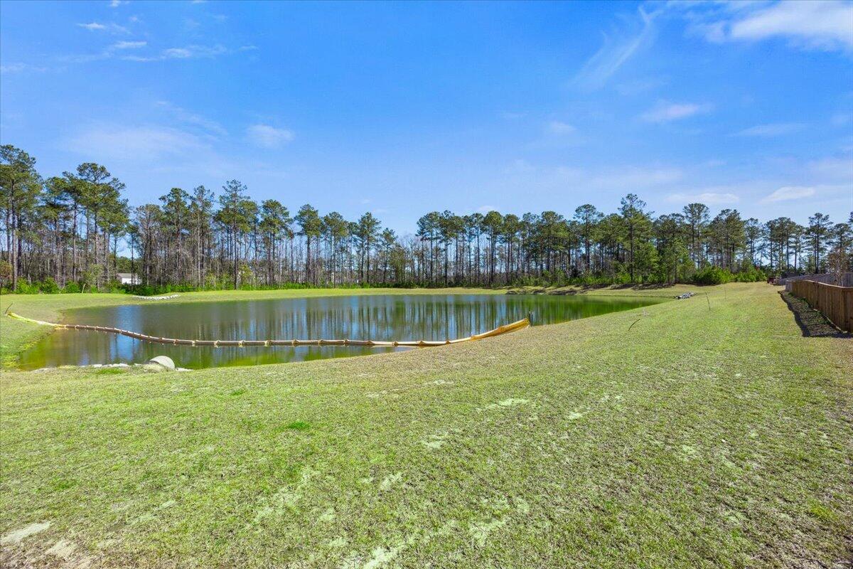 422 Cedarview Road Summerville, SC 29486 - Photo 34 of 36 Back Yard