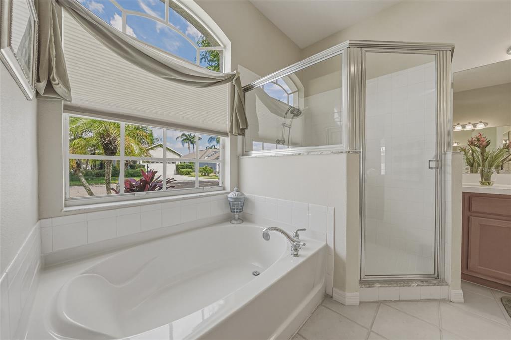 1542 Swamp Rose Lane Trinity, FL 34655 - Photo 41 of 64 a bathroom with a bathtub and a shower