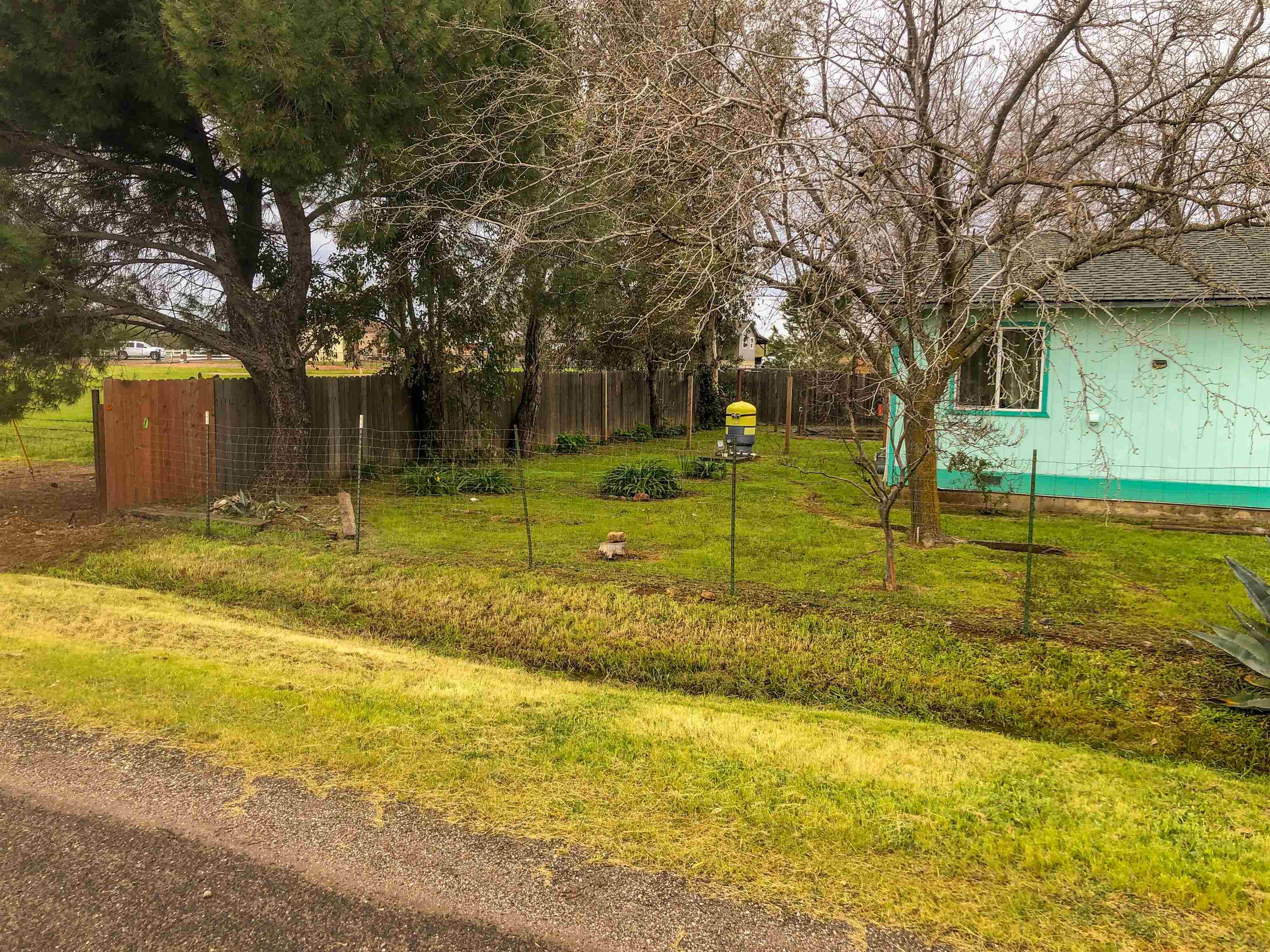 23848 Hoag Road Corning, CA 96021 - Photo 54 of 73