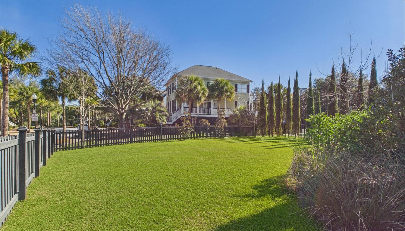 926 Cochran Street Charleston, SC 29492 - Photo 36 of 42 backyard