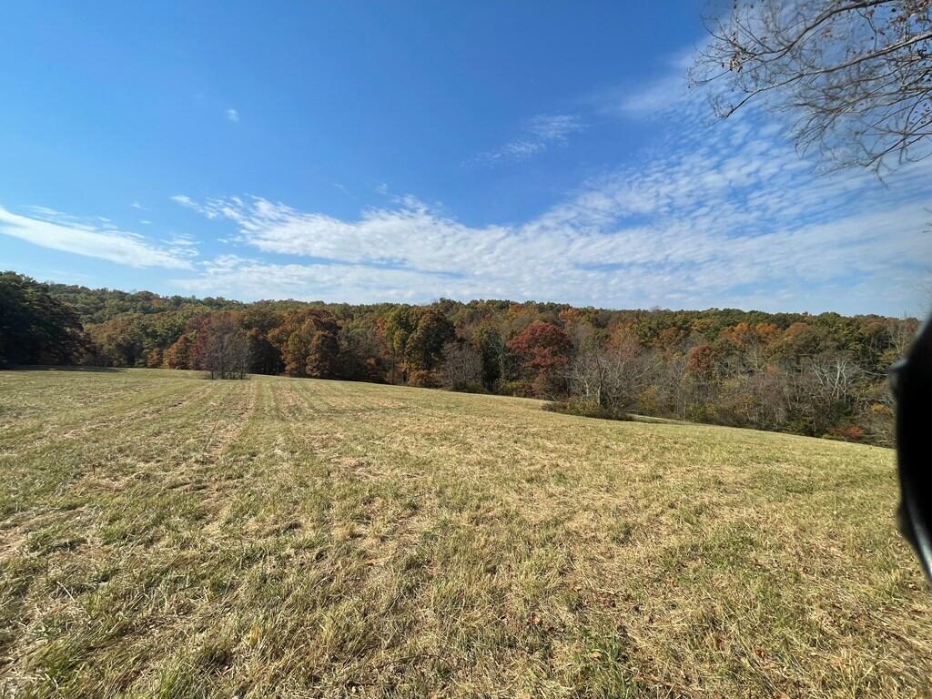 0 Ashcraft Road Mount Olivet, KY 41064 - Photo 1 of 17 42452_8
