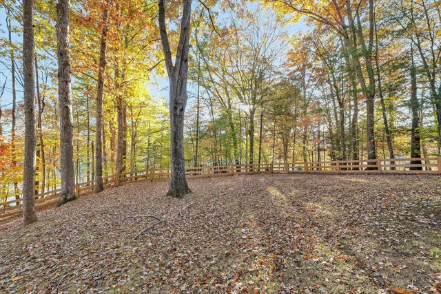 a view of a trees with a trees