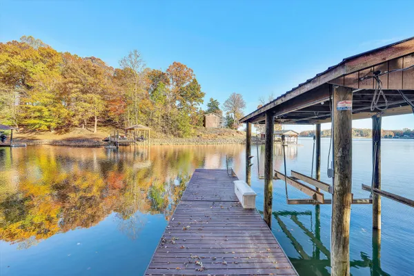 a view of a park with large trees