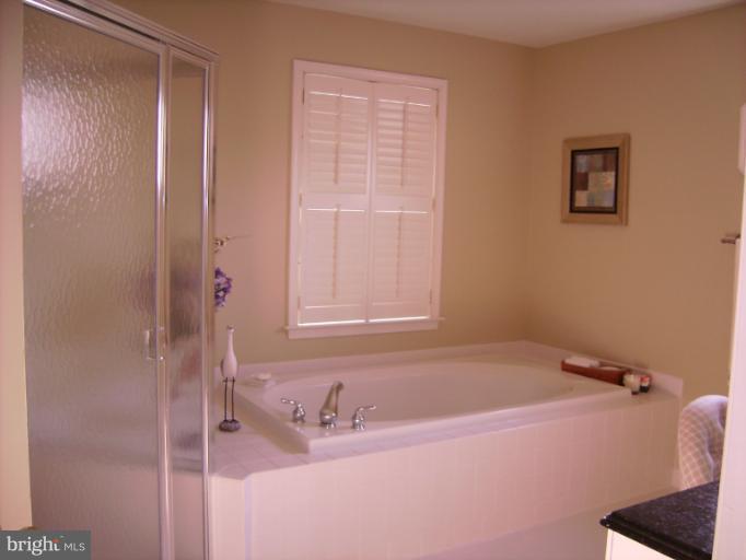 2573 Bear Den Road Frederick, MD 21701 - Photo 23 of 30 Soaking Tub