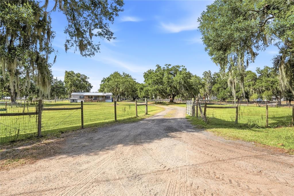 3416 Porter Road Lithia, FL 33547 - Photo 28 of 47