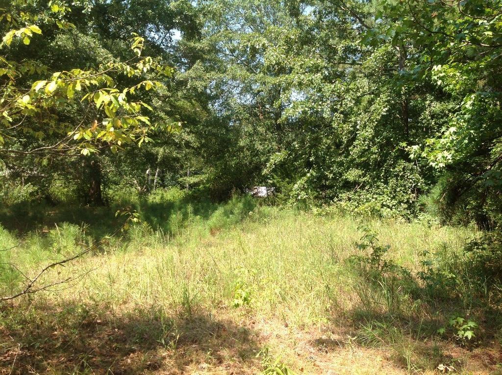 0 Francis Road Milton, GA 30004 - Photo 1 of 1