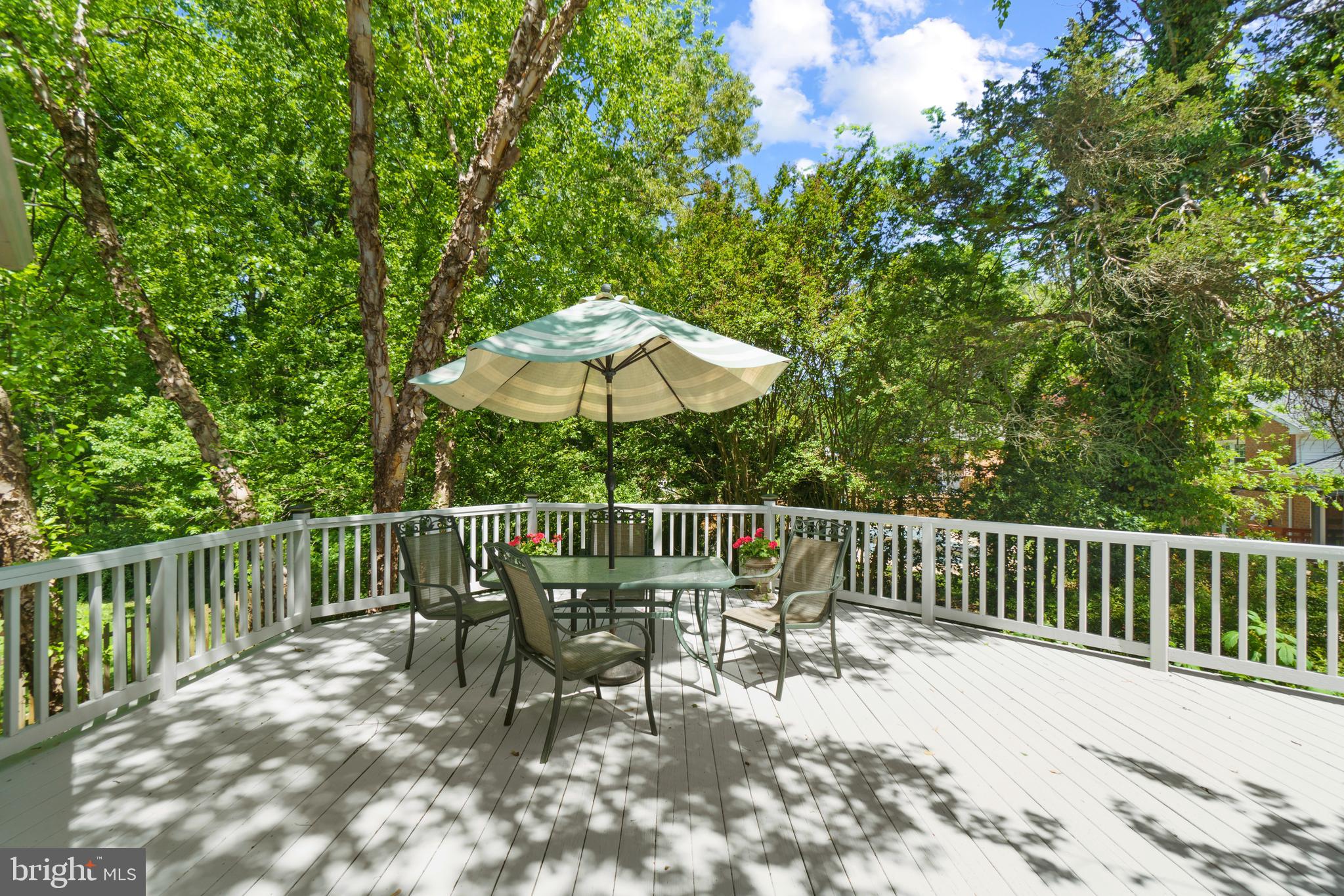 7820 Elba Road Alexandria, VA 22306 - Photo 33 of 35