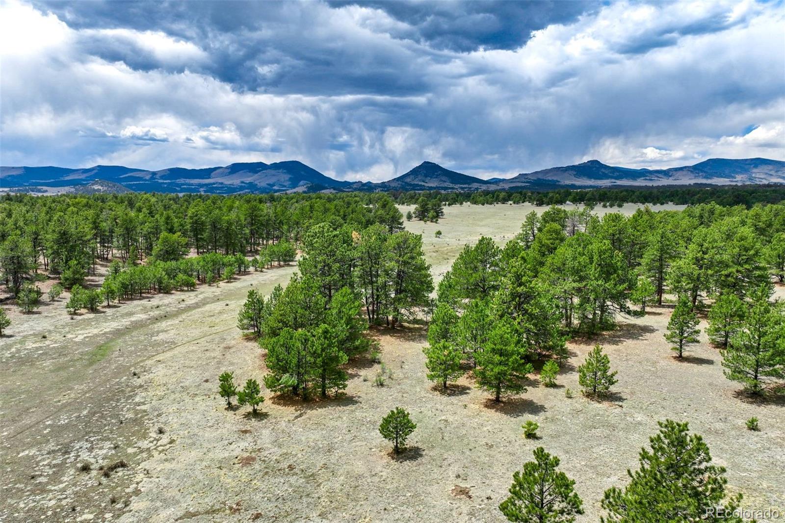 103 Doe Valley Road Guffey, CO 80820 - Photo 22 of 46