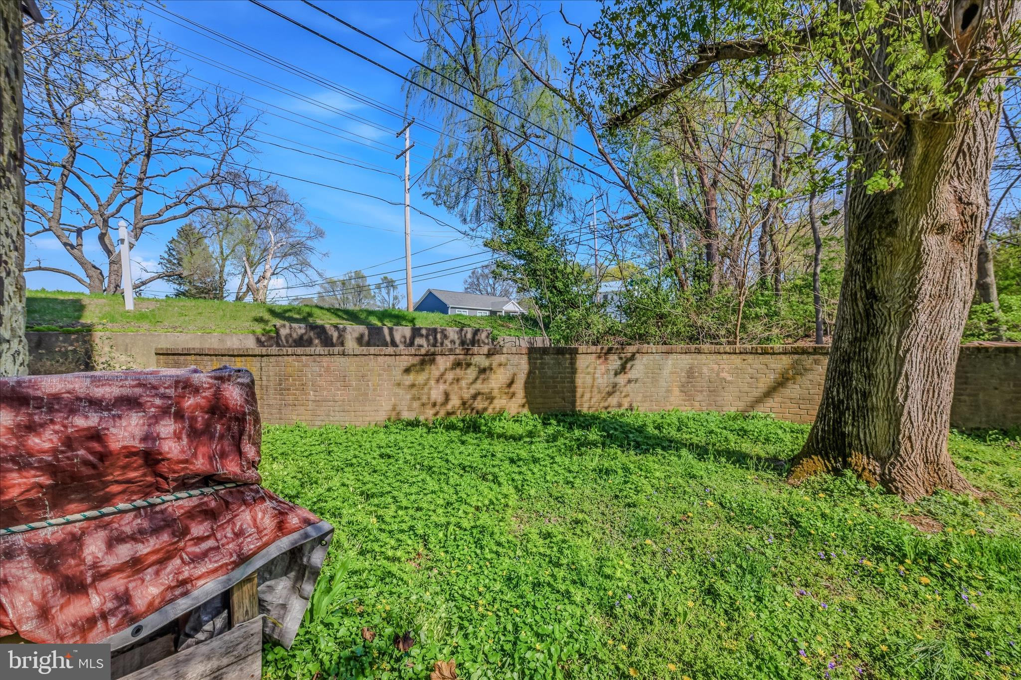 1646 Gerrardstown Road Gerrardstown, WV 25420 - Photo 19 of 53 Sideyard