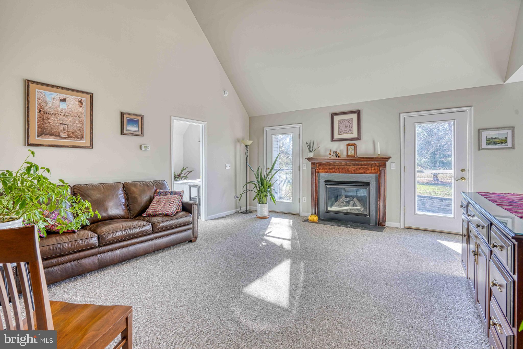 36620 Robin Hood Road Delmar, DE 19940 - Photo 16 of 48 a living room with furniture and a fireplace