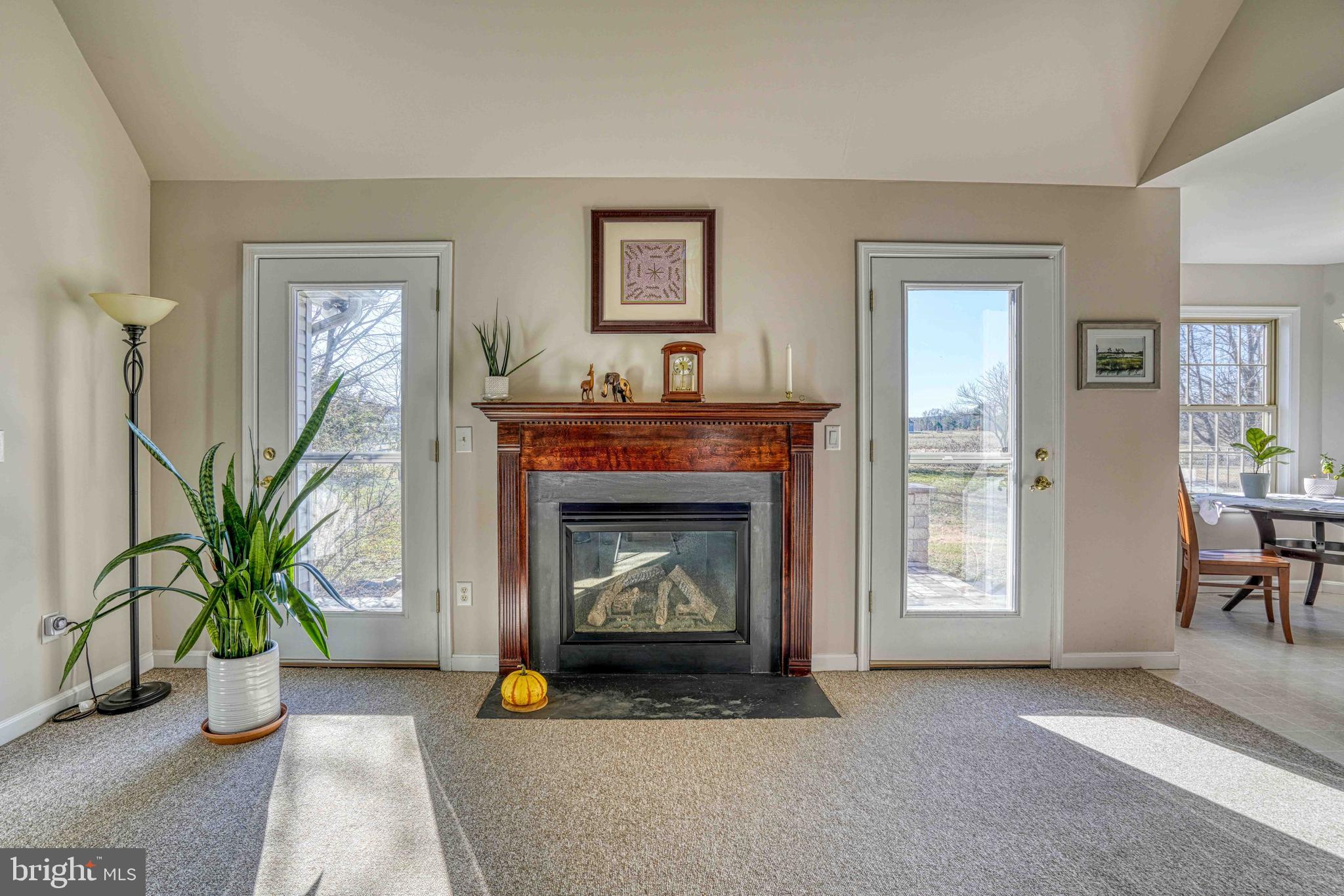 36620 Robin Hood Road Delmar, DE 19940 - Photo 33 of 48 a living room with furniture and a fireplace