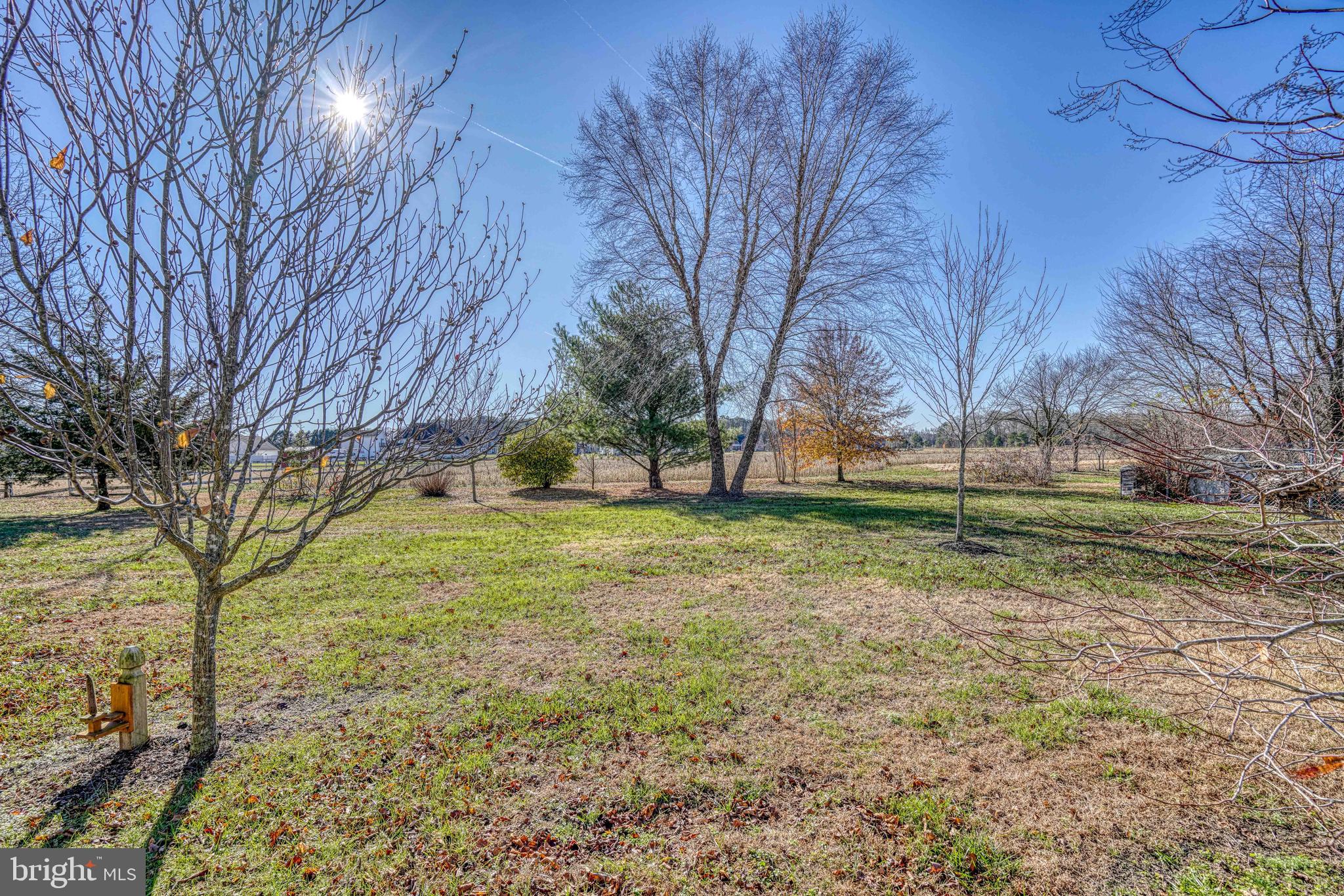 36620 Robin Hood Road Delmar, DE 19940 - Photo 43 of 48 a view of yard with tree