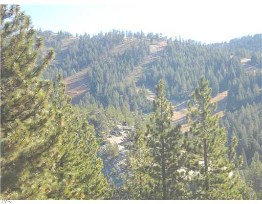 1329 Thurgau Court Incline Village, NV 89451 - Photo 10 of 11 a view of a dry yard with trees