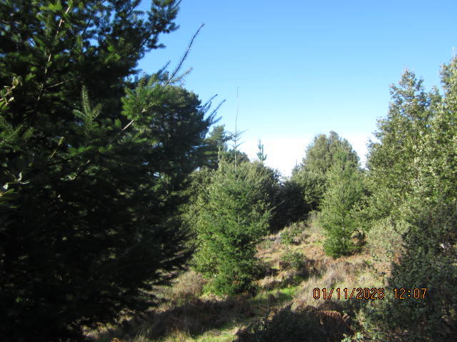 2715 Toth Road Shelter Cove, CA 95589 - Photo 2 of 27 IMG_0746
