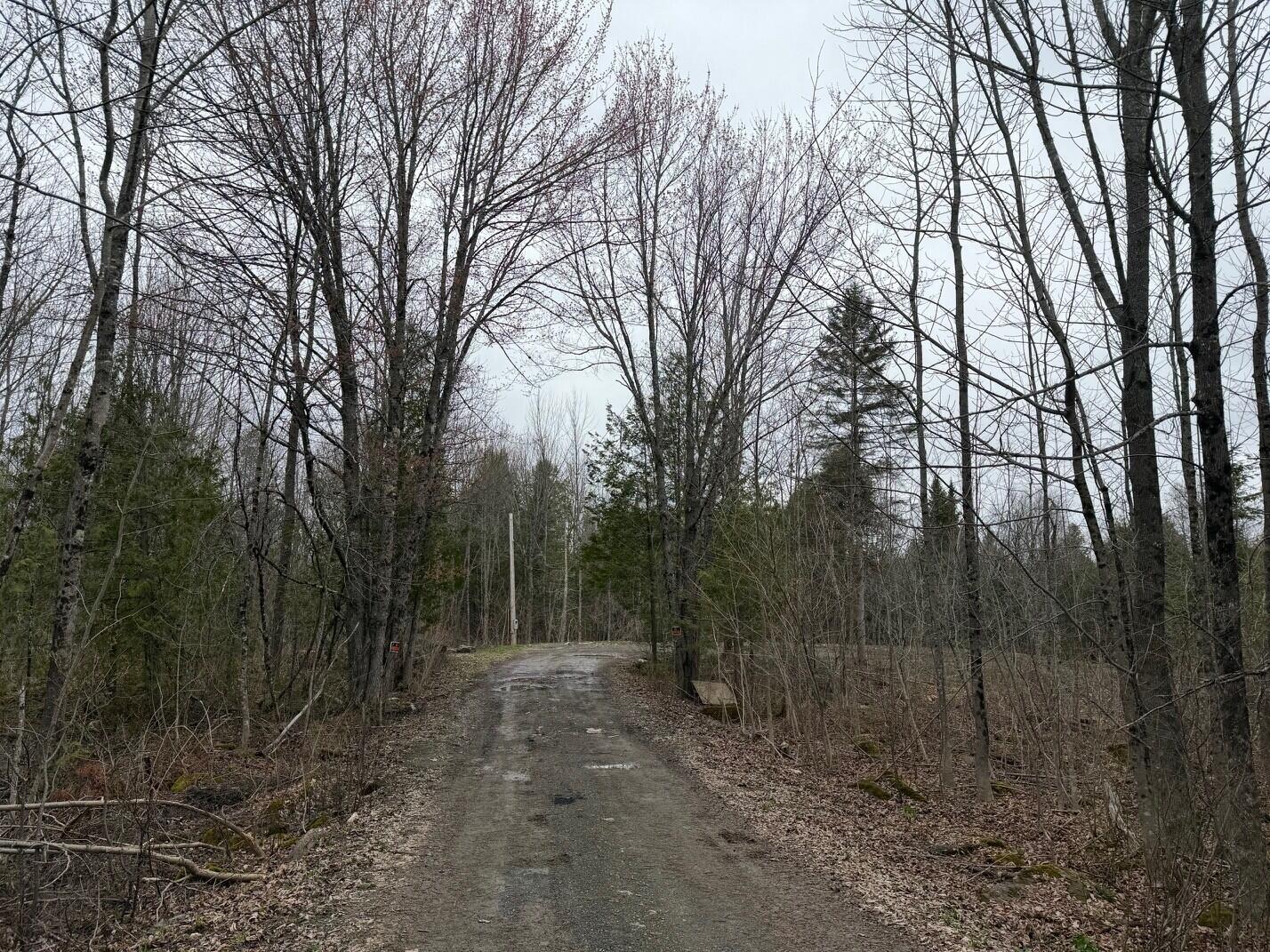 1535 Bangor Road Linneus, ME 04730 - Photo 2 of 7 b6003853-8c31-4d9a-b893-8d34463a78d7