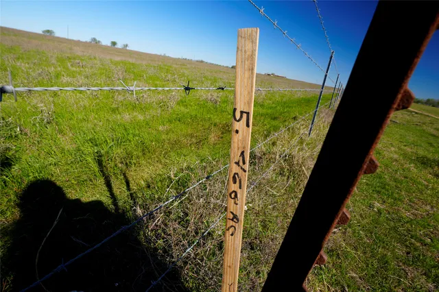 a view of a field with an ocean