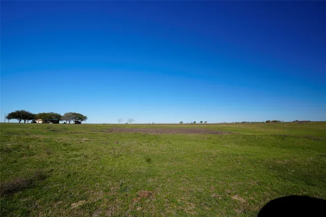 a view of a large green field with lots of bushes