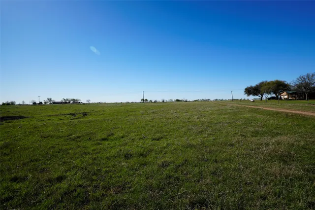 a view of a large trees with lots of space