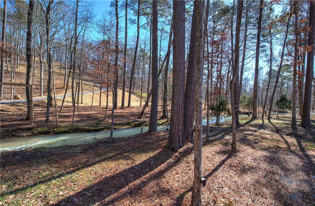 676 Flowery Branch Road Kingston, GA 30145 - Photo 66 of 96 Gallery Image 66
