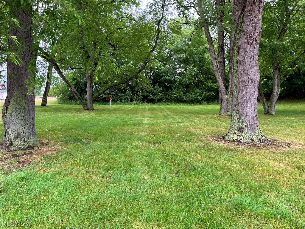 1180 Kennel Road Northwest Minerva, OH 44657 - Photo 15 of 17 Back of the additional lots