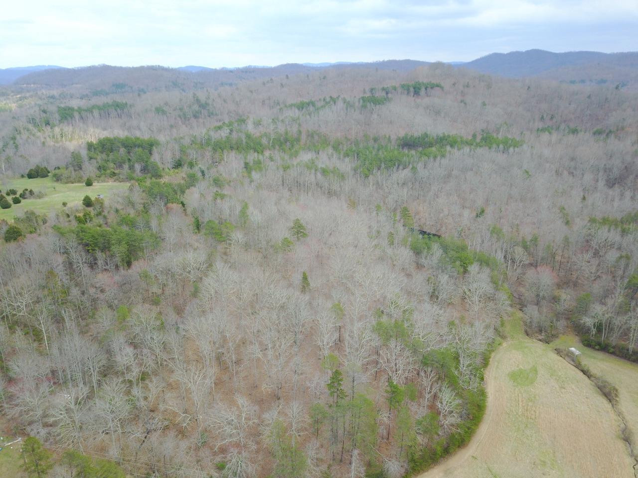 9999 Verne Road Williamsburg, KY 40769 - Photo 1 of 23 Photo 1