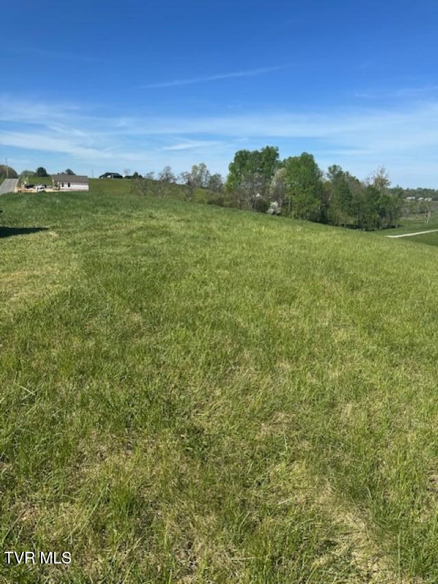 Tbd Tbd Bennett Jonesborough, TN 37659 - Photo 15 of 22 79795750906__DBC88ED9-41DA-4269-B64C-E56