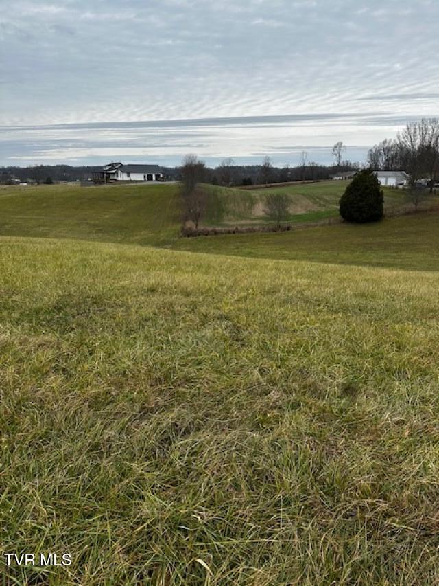 Tbd Tbd Bennett Jonesborough, TN 37659 - Photo 16 of 22 IMG_9612 (Custom)