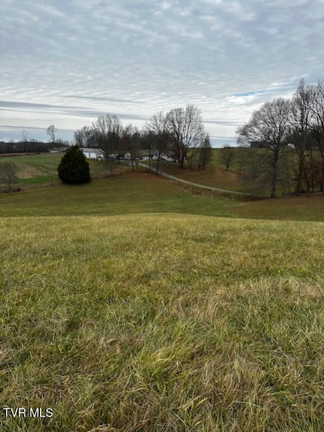 Tbd Tbd Bennett Jonesborough, TN 37659 - Photo 17 of 22 IMG_9613 (Custom)