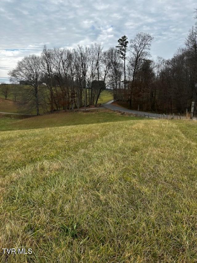 Tbd Tbd Bennett Jonesborough, TN 37659 - Photo 18 of 22 IMG_9614 (Custom)