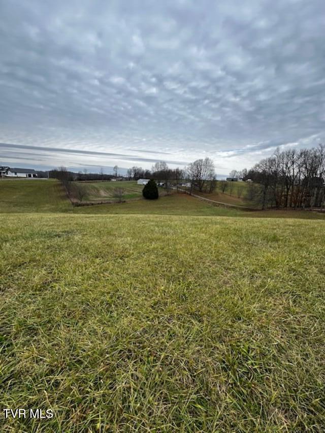 Tbd Tbd Bennett Jonesborough, TN 37659 - Photo 20 of 22 IMG_9616 (Custom)