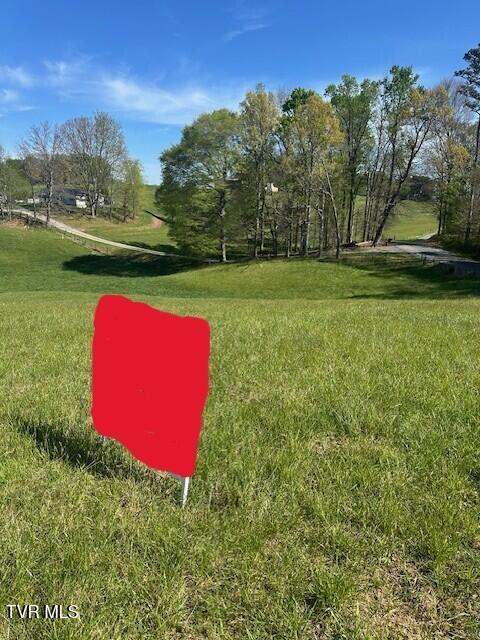 Tbd Tbd Bennett Jonesborough, TN 37659 - Photo 2 of 22 IMG_5356 no sign