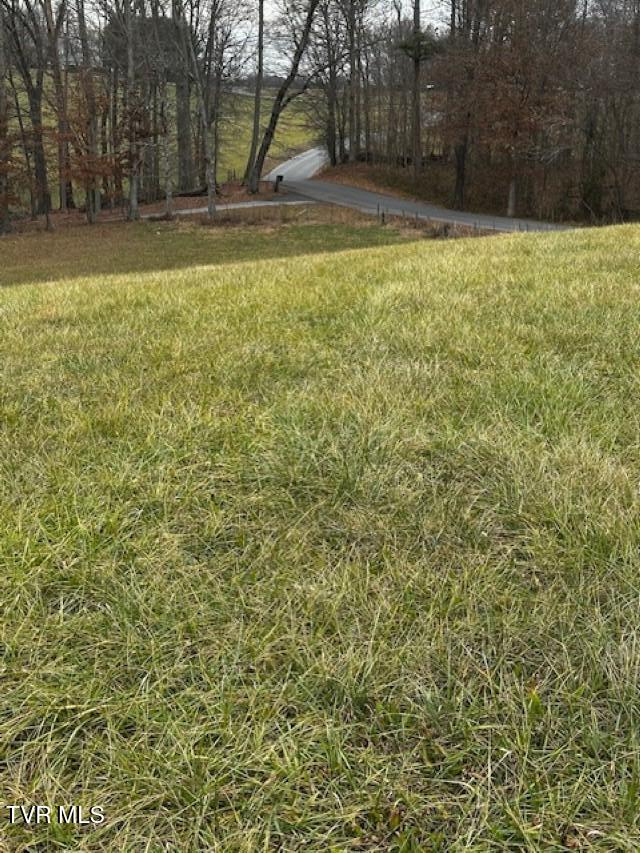 Tbd Tbd Bennett Jonesborough, TN 37659 - Photo 21 of 22 IMG_9617 (Custom)