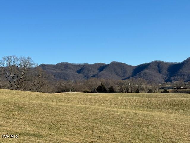 Tbd Tbd Bennett Jonesborough, TN 37659 - Photo 22 of 22 IMG_6003 (3)