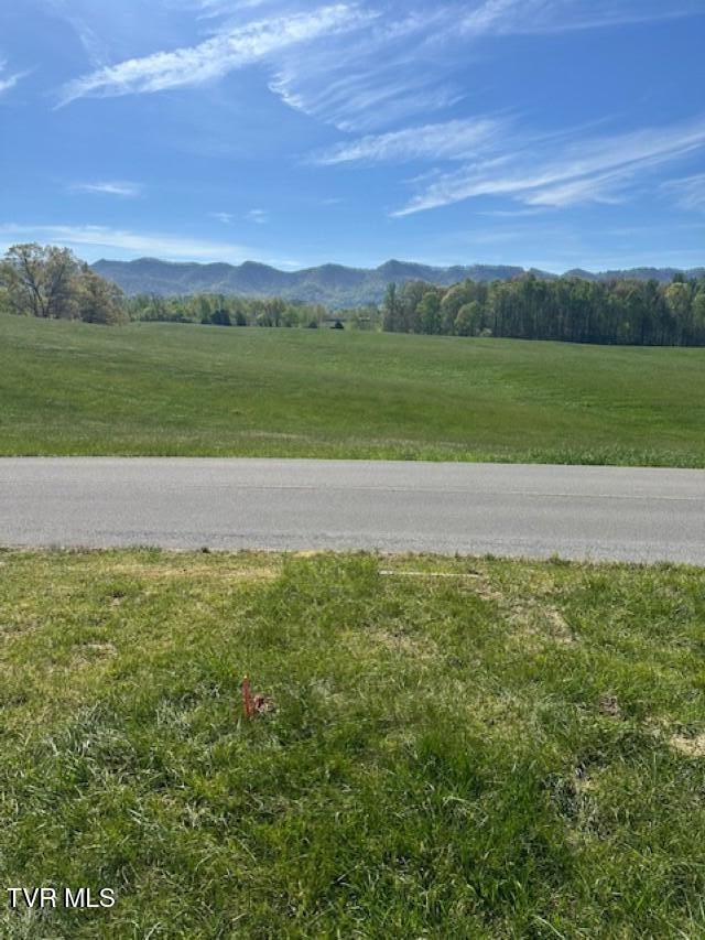 Tbd Tbd Bennett Jonesborough, TN 37659 - Photo 5 of 22 IMG_5364 (Custom)