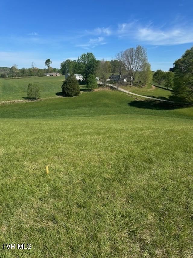 Tbd Tbd Bennett Jonesborough, TN 37659 - Photo 10 of 22 IMG_5370 (Custom)