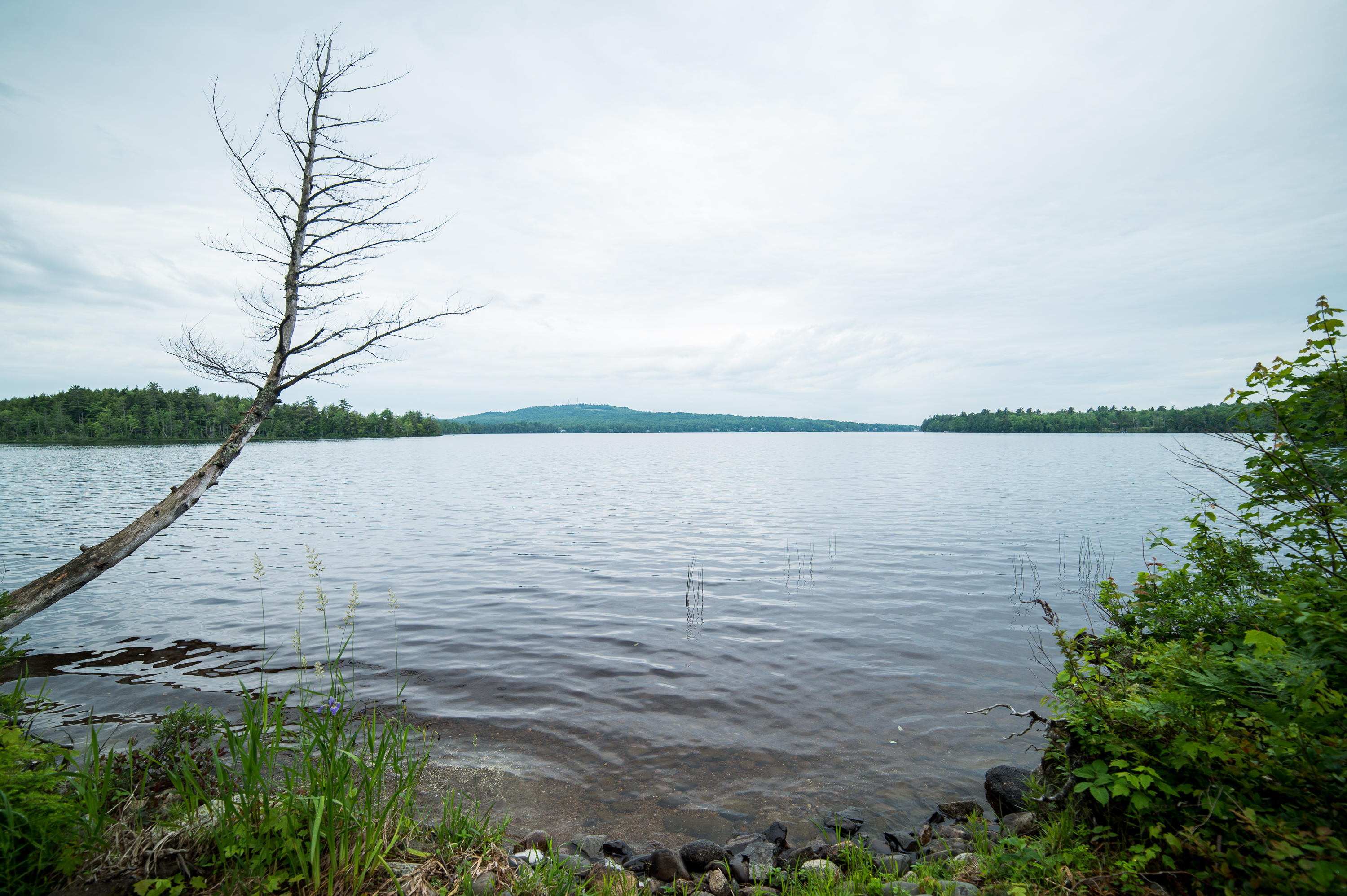 361 White Point Estates Road Lincoln, ME 04457 - Photo 26 of 86 dbp-0016