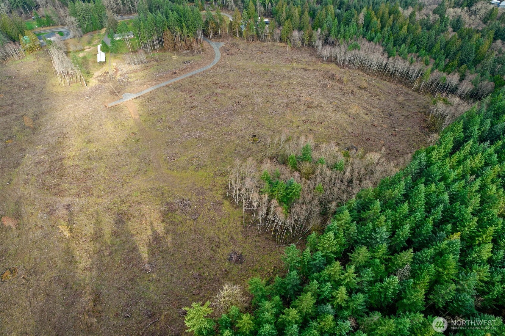 0 Little Hanaford Road, Unit B Centralia, WA 98531 - Photo 16 of 16 a view of a yard with a tree