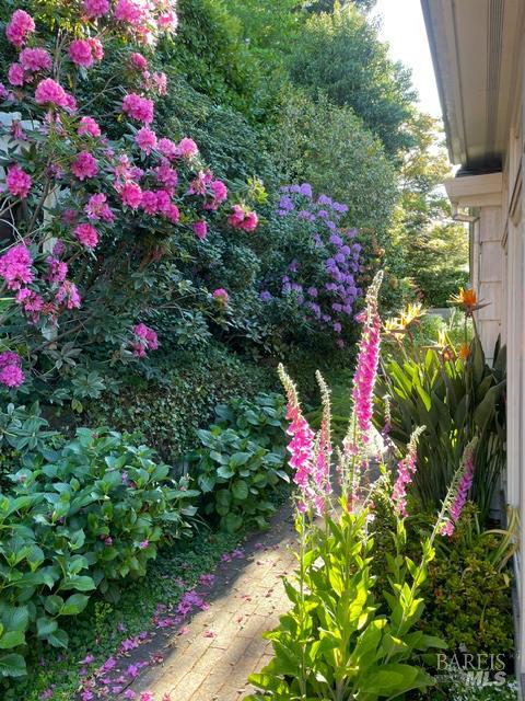 161 Lagunitas Road Ross, CA 94957 - Photo 46 of 55