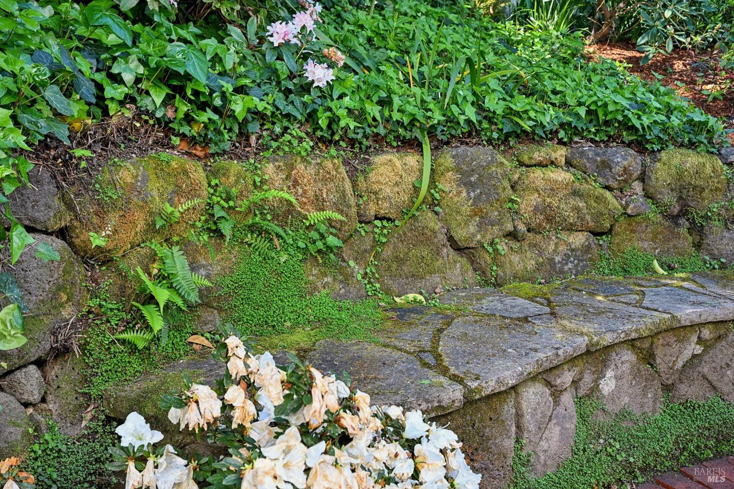 161 Lagunitas Road Ross, CA 94957 - Photo 54 of 55