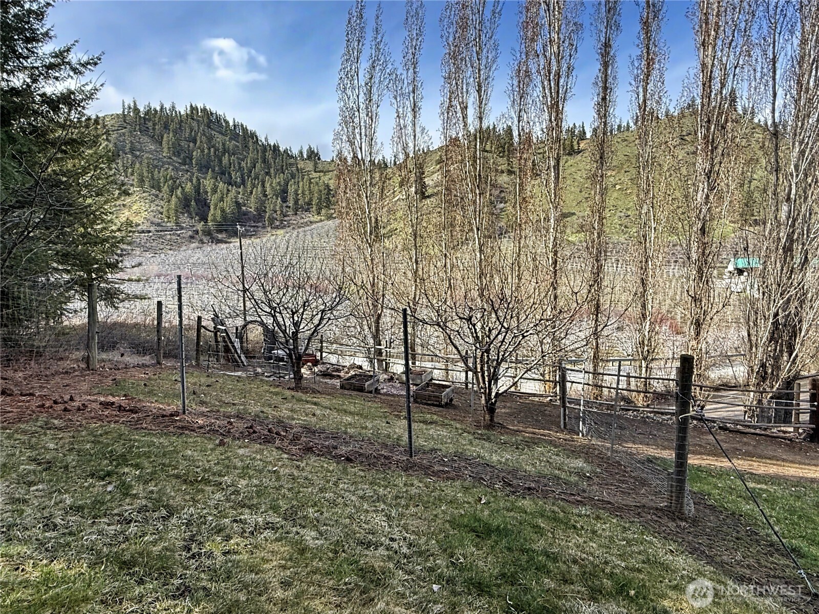 7540 Brender Canyon Road Cashmere, WA 98815 - Photo 29 of 39