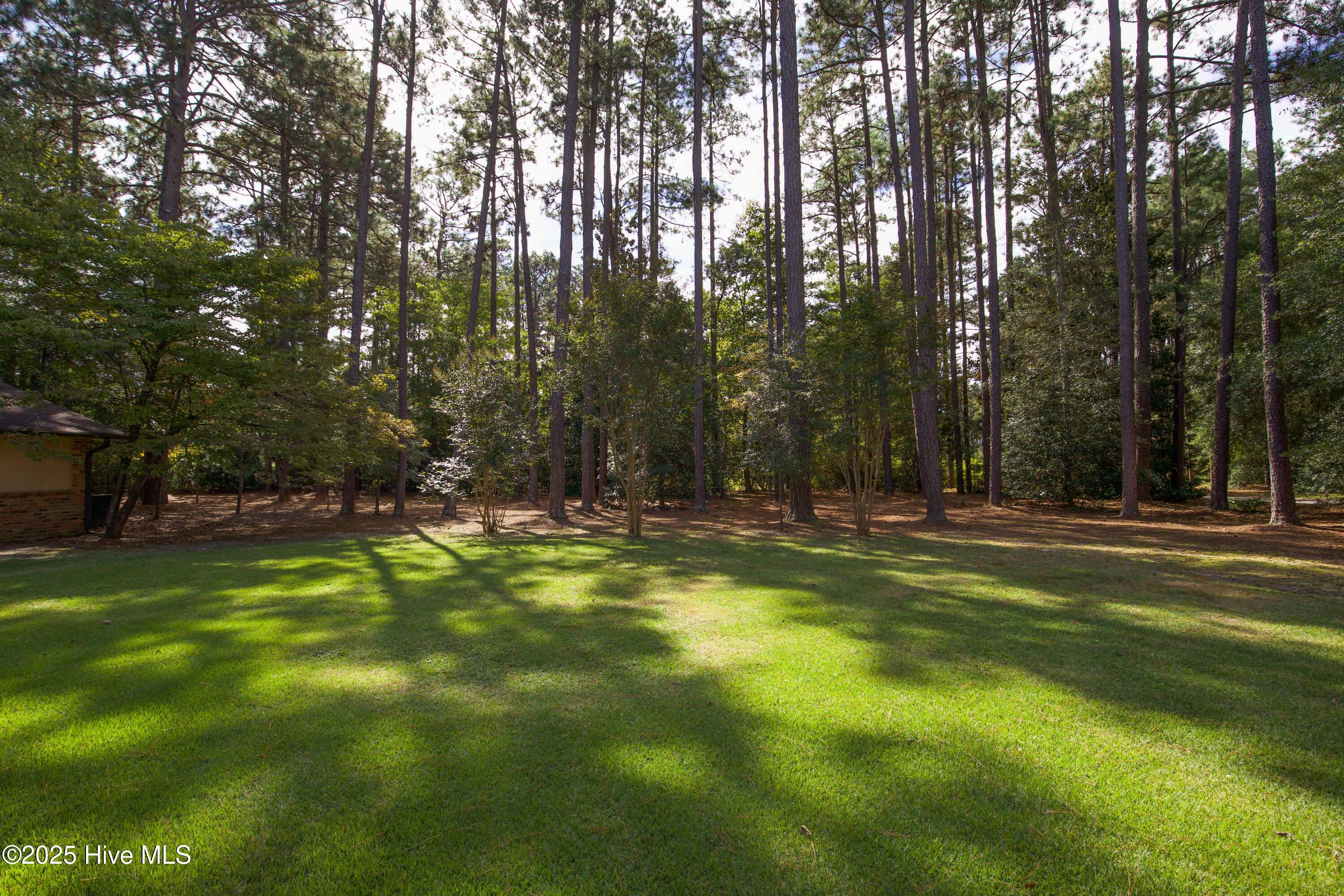100 Beaver Lane Pinehurst, NC 28374 - Photo 43 of 51 Back yard