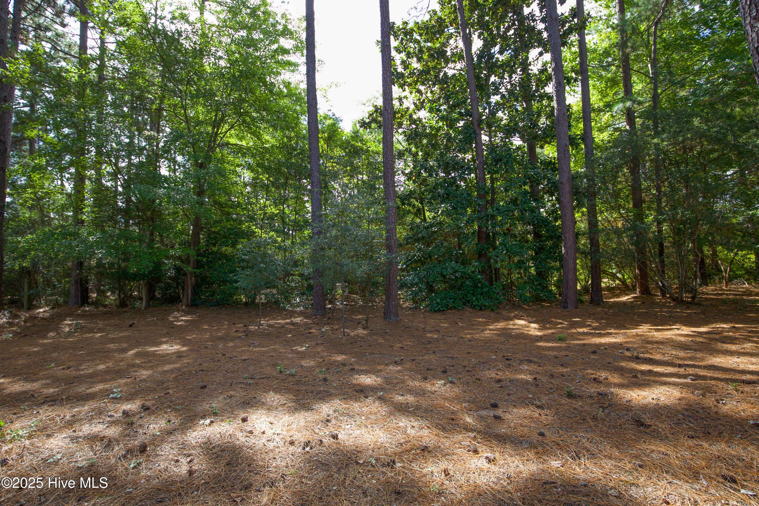100 Beaver Lane Pinehurst, NC 28374 - Photo 44 of 51 BAck yard
