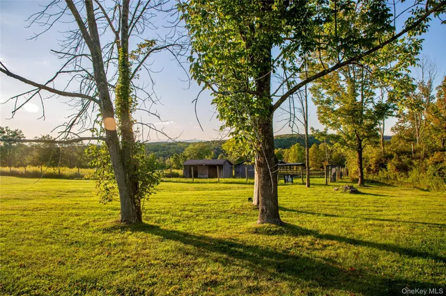 a view of a yard with swimming pool
