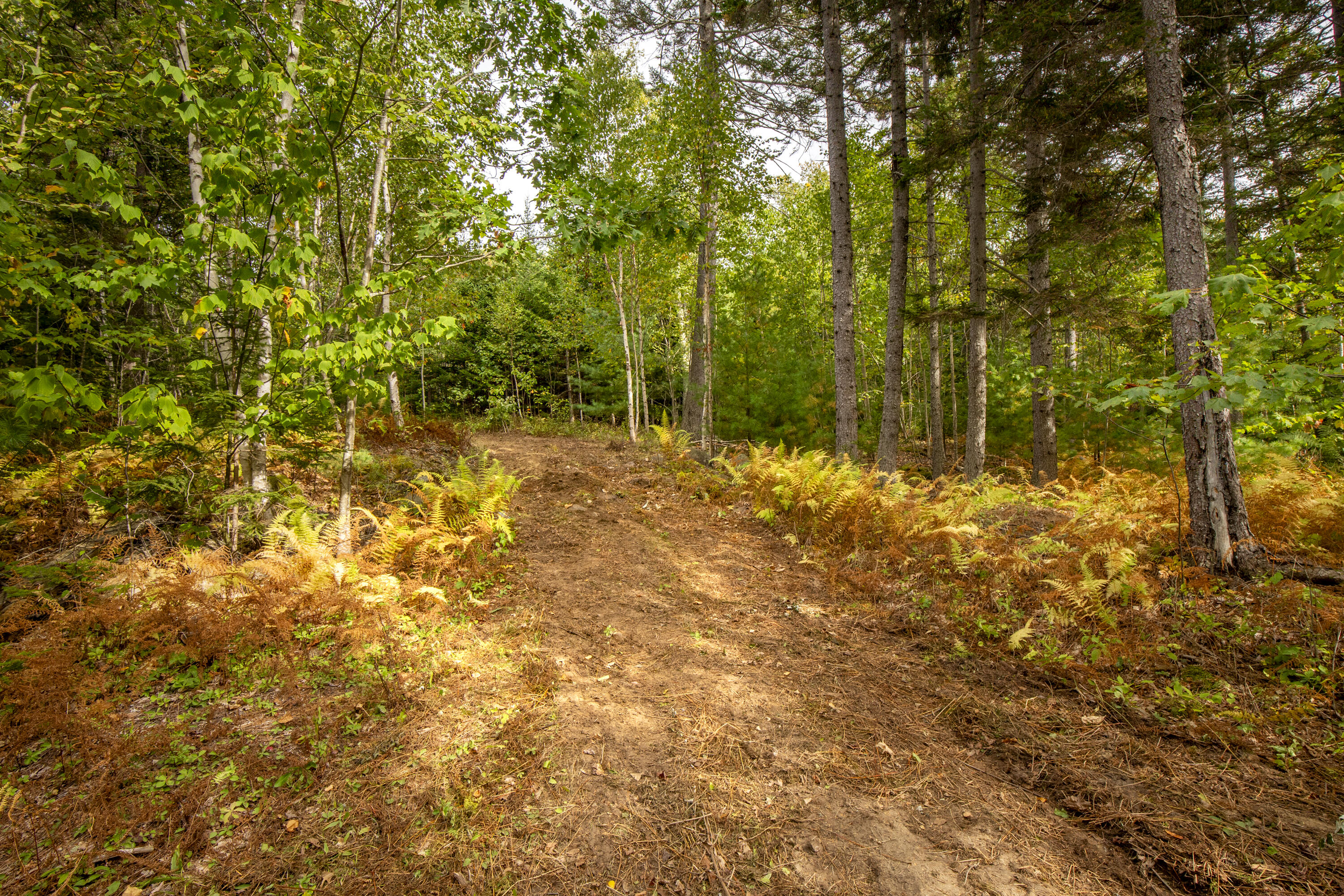 Lot 7 Ocean Ridge Road Cushing, ME 04563 - Photo 8 of 20 15-Lot7-OceanRidgeRd-Cushing-KS