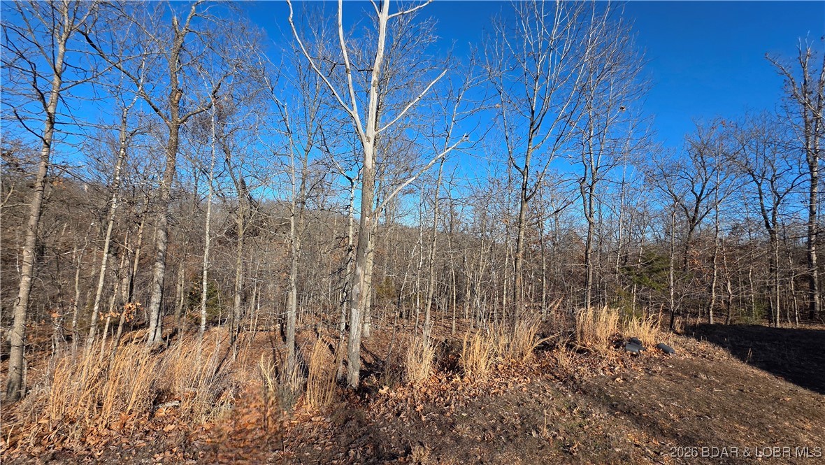 33690 Bass Point Road Gravois Mills, MO 65037 - Photo 19 of 25