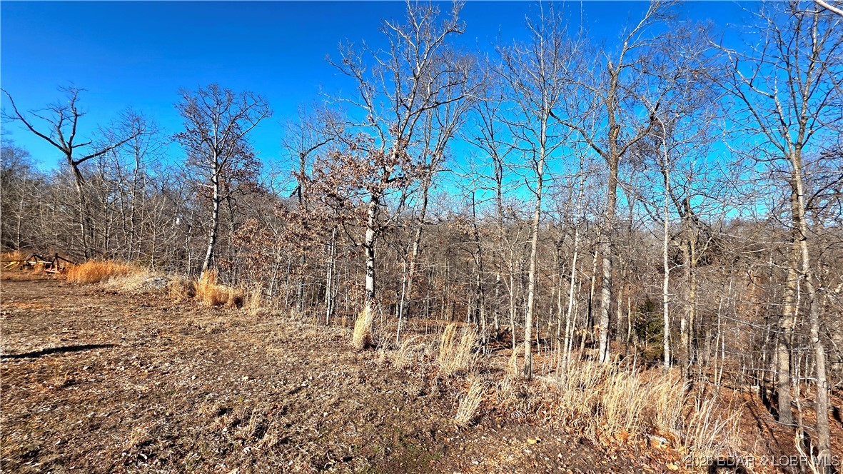 33690 Bass Point Road Gravois Mills, MO 65037 - Photo 20 of 25