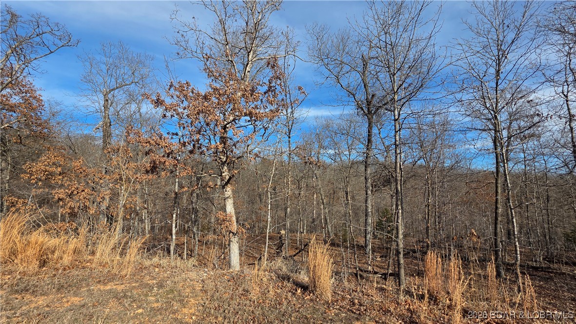 33690 Bass Point Road Gravois Mills, MO 65037 - Photo 22 of 25